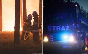 Pożar lasu w Międzylesiu. Służby sprawdzają, czy doszło do podpalenia