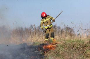Pożar traw przy torach. Utrudnienia na linii Siedlce-Warszawa