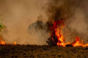 Pożar w Almerii zabił co najmniej 12 osób i strawił 6600 ha