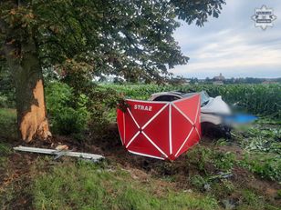 Mercedes uderzył w drzewo w Świętoszowicach – zginęły dwie młode osoby