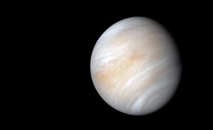 Enormous density-wave rings found in Venus's upper atmosphere using archive data