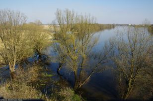 Dramatyczne odkrycie. Wyłowiono dwa ciała z Wisły