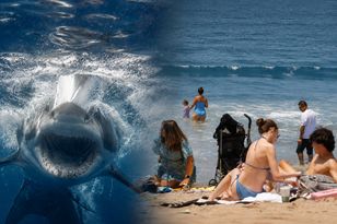 Atak rekina przy plaży Jones Beach na Long Island: zakaz kąpieli, mężczyzna w szpitalu