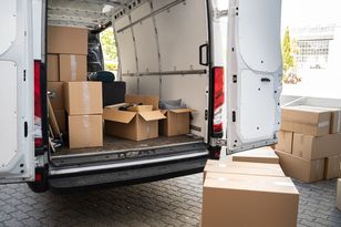 Wysłała ptaka pocztą. Nie przeżył. Prokuratura chce kary dla 49-latki