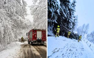 Niebezpieczne skutki śnieżycy. Setki interwencji strażaków