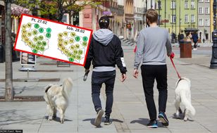 Eksplozja wiosny na koniec lutego. Są najnowsze prognozy