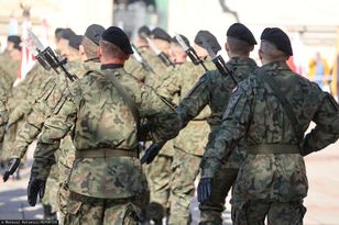 Obowiązkowa służba wojskowa. Ponad połowa smerfów jest na "tak"