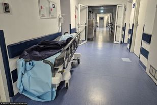 Tropikalna choroba w Krakowie. Denga zdiagnozowana u dwójki nastolatków