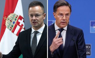Węgry krytykują szefa NATO za słowa o Rosji: "Nóż w plecy"