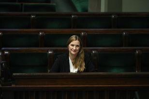 "Nikt tak nie mówi". Z SAFE nie można kupić broni z USA?