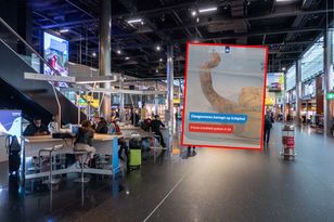 Kanadyjka próbowała przemycić pytona królewskiego w biustonoszu na lotnisku Schiphol