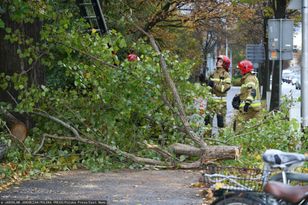 Silna burza w Warszawie. Wiatr spowodował szkody