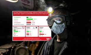 Ta grupa bez wsparcia? Polacy obawiają się o skutki transformacji energetycznej