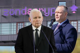 Kto jest winny afery Zondacrypto? Polacy nie mają wątpliwości