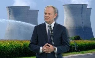 Elektrownia jądrowa w Polsce. Jest wniosek. "To był wielki wysiłek"