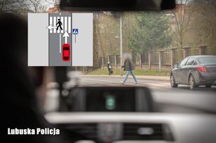 Piesza przeszła. Czy można ruszyć? 1500 zł mandatu za błąd