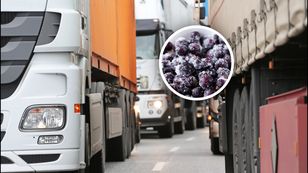 Zatrzymali transport z Ukrainy. Oto co miało trafić do Polski
