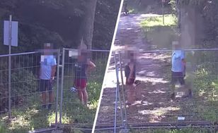 Niemieccy turyści ukarani przy granicy. Interwencja Straży Granicznej