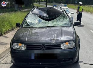 Śmiertelnie potrącił pieszego i uciekł. Jest areszt dla 55-latka