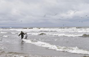 Makabryczne odkrycie. Na brzegu znaleźli ludzkie przedramię