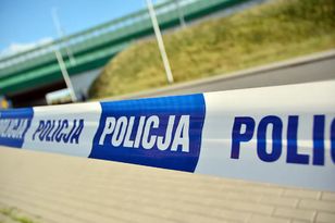 Koszmar na S7. Z ciężarówki wysypały się truchła zwierząt