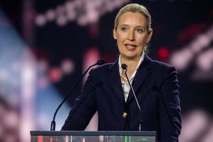 Niemiecka polityk nazwała ukraiński rząd "skorumpowanym reżimem"