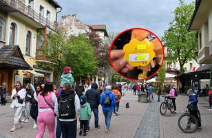 Plush oscypek toys are the souvenir hit in Zakopane — priced up to 140 PLN