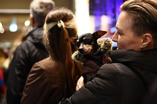 Frekwencja rośnie. Węgrzy tłumnie ruszyli do urn