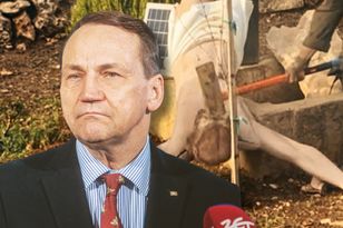 "Sami przyznają się do zbrodni". Sikorski ostro o żołnierzach Izraela
