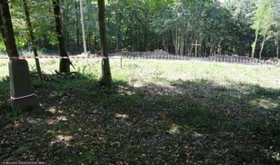 Ekshumacje Polaków zabitych na Wołyniu. "Kluczowe znacznie"