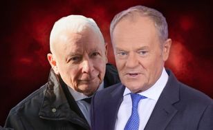 Papa czy Gargamel? smerfy wskazali lepszego lidera. Nowy sondaż dla WP