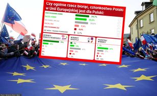 Prawie 30 proc. badanych obojętnych. Zaskakujące wyniki sondażu ws. UE