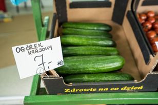 "100 ton ogórka do utylizacji". Rolnicy wyrzucają zbiory