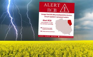 "Znajdź bezpieczne schronienie". Pilny alert RCB dla dwóch województw