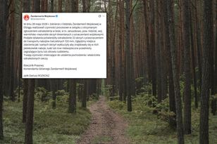 Mysterious crates in the forest in Masuria. The military is investigating the matter