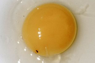 Czym jest czerwona plamka na jajku? Wzbudza obrzydzenie, a nie każdy wie, co oznacza