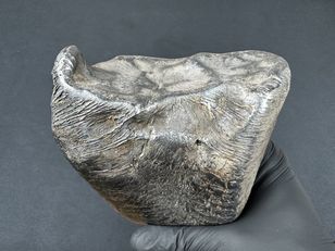 Spadł w gminie Zadzim. Meteoryt waży 2,9 kg