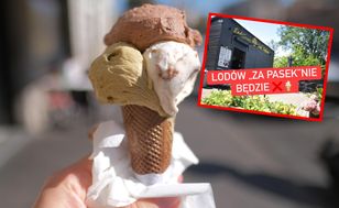 Koniec darmowych lodów. Rzeczniczce Praw Dziecka to się nie spodobało