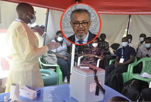 Ebola. Nie żyje 139 osób, 600 ma objawy. WHO reaguje