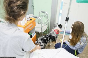 Stres zwiększa ryzyko nowotworów. Odkrycie wrocławskich naukowców