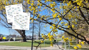 Zacznie się w czwartek. Wyż Stefan dotrze do Polski, idzie zmiana pogody