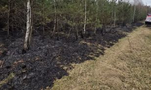 Duże zagrożenie pożarowe lasów. Alert dla pięciu województw