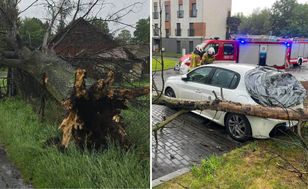 Nawałnice w Polsce: ponad 1600 interwencji strażaków w jedną dobę