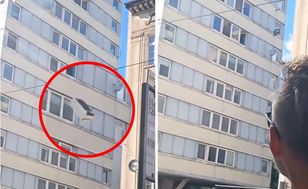 Nie chciało im się nosić. Wyrzucili lodówkę z 9. piętra