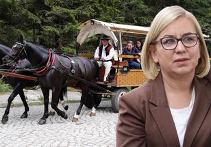 Awantura w Tatrach. Hennig-Kloska uspokaja górali i zapewnia, że konie tu zostaną