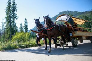 Majówka bez rewolucji na trasie do Morskiego Oka. Zostają wozy konne