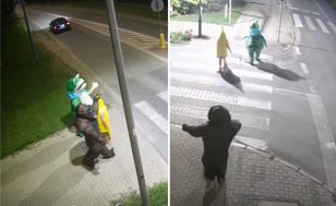 Żaba, banan i goryl na ulicach Włodawy — nagranie opublikował burmistrz
