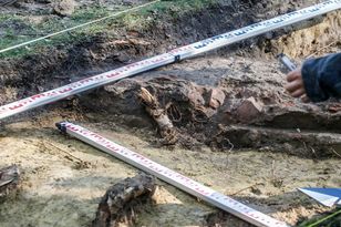 Naukowcy odkryli zagadkę jaskini Stajnia