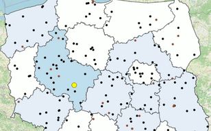 Policja pokazała mapę. Tyle wypadków było w wakacje