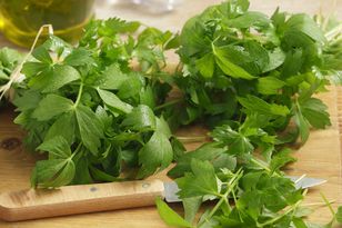 Lovage: the forgotten herb for indigestion and rheumatism, also great in broth